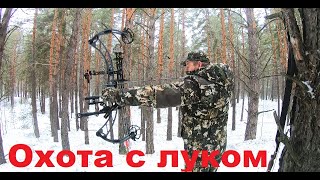 Охота с луком на кабана, подготовка, советы. Часть 1.