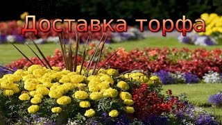 Купить чернозем с доставкой, грунт плодородный, плодородная почва, навоз