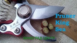 Отличный секатор  King Sea. Обрезка винограда для начинающих на 5+. Виноград центр / grapes center