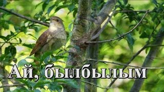 Ай былбылым. Караоке башҡортса һүҙһеҙ. Башҡорт телдә караоке.
