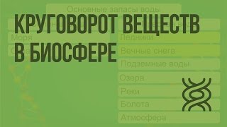 Круговорот веществ в биосфере. Видеоурок по биологии 11 класс