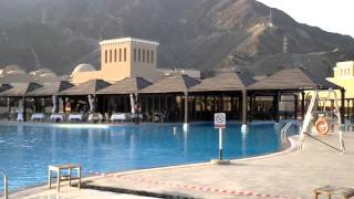 отель Miramar Al Aqah Beach Resort Фуджейра ОАЭ