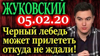 ЖУКОВСКИЙ. Как коронавирус затронет экономику России и Китая? 05.02.20