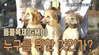 누구를 위한 동물 복제[GMO] 인가?[잃어버린 10년, 다시 생명시대로 5-2]