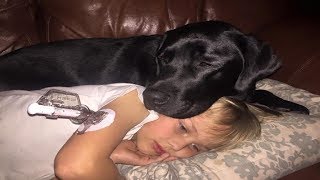This Mom’s Dog Knew Something Was Very Wrong With Her Son – And What The Pooch Did Saved His Life