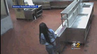 Video Excerpts Released In Hotel-Freezer Death