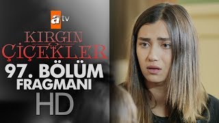 Kırgın Çiçekler 97. Bölüm Fragmanı