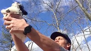 Tom Brady Posts Lion King Inspired Video to Introduce New Puppy