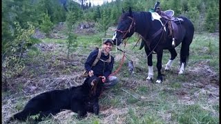 Bear Hunting on Horse Back - Stuck N the Rut 82