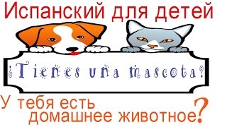 Испанский язык для детей.Домашние животные на испанском. У тебя есть домашний питомец?