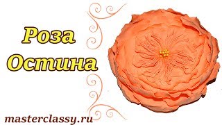 Foam roses tutorial. Очень красивая роза Остина из фоамирана. Брошь с розой из фоамирана: видео урок