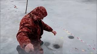 Ловля на пассивные снасти даёт сегодня хороший результат. Клёвое место.