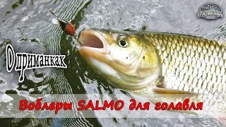 Воблеры Salmo для голавля. О приманках