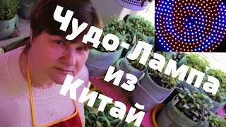 Чудо-Лампа для рассады из Китая.
