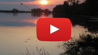 РЫБАЛКА ЛЕТОМ В ПОДМОСКОВЬЕ НА РЕЧКЕ И ОТДЫХ С ДЕТЬМИ ВЫХОДНЫЕ МОСКВИЧЕЙ ч4 принцесса милана