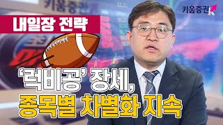 [주식투자][투자전략] 내일장전략/ '럭비공'장세, 종목별 차별화 지속(20.02.17)