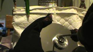 Removing Hard Drive Platters with NO SCREWS!