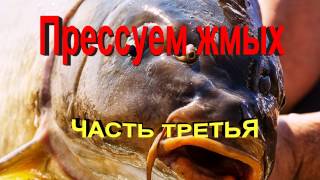 Жмых на сазана своими руками. Часть третья.