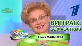 Сок ростков пшеницы - витграсс (wheatgrass), полезные свойства и отзывы в программе Елены Малышевой