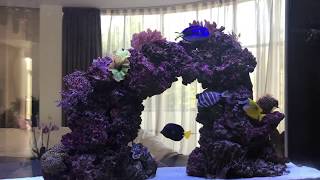 Рифовый аквариум в интерьере/Reef aquarium.