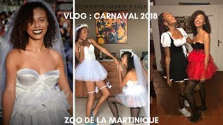 Vlog : Carnaval 2018 + Zoo de la Martinique ?