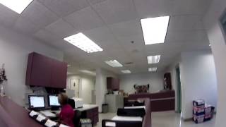 OGI, St. Johns County School District (Fleet Maintenance)