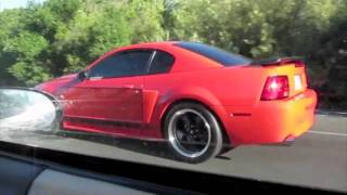 04 Mach 1 vs 02 Z28
