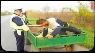 Policja zatrzymuje furmankę, pijany furman