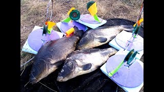!!!!!!! Ловля КАРПА на ЖЕРЛИЦЫ !!!!!! КАРПФИШИНГ !!!!!! Где искать сазана летом.