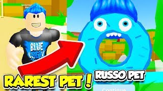 I'm The RAREST DONUT PET In This NEW SIMULATOR GAME!! (Roblox)
