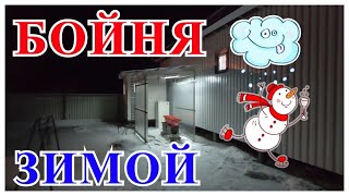 Бойня зимой