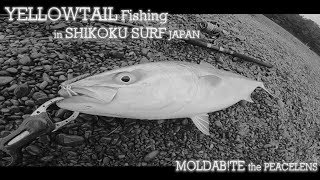 【FISHING#１】四国サーフ　釣り　ナブラ撃ち　青物　ルアー　ライトショアジギング　ゴープロ