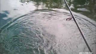 Crappie fishing Bob's pond