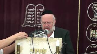 פרשת וארא תשע"ח - הרב ברוך רוזנבלום