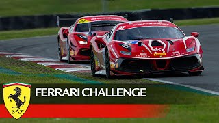 Ferrari Challenge UK: Snetterton Race 2 Highlights