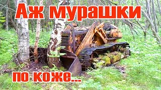 Не ожидал ЭТОГО! Коп металла. Поиск металла и монет металлоискателем
