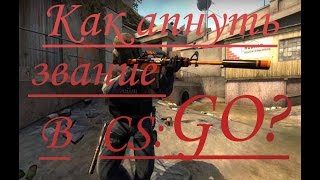 Как поднять звание в CS:GO?