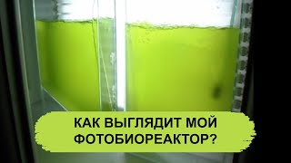 КАК ВЫГЛЯДИТ ФОТОБИОРЕАКТОР ДЛЯ ХЛОРЕЛЛЫ И СПИРУЛИНЫ?