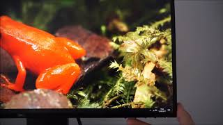 Dell U2518D Menu System (OSD)