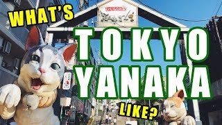 Tokyo neighborhoods | walking in Yanaka