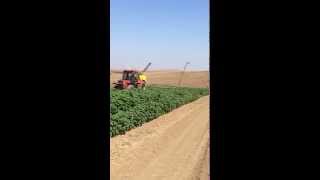 Case ih 1056XL with sprayer