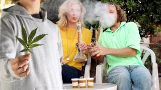 Родители давали детям наркотики за хорошее поведение! Моржовые НОВОСТИ