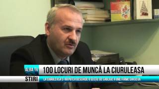 100 locuri de munca la Ciuruleasa
