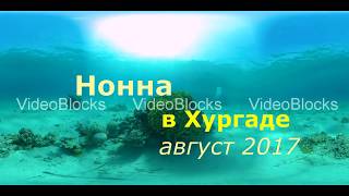 Нонна в Хургаде  с 9 по 21 октября 2017 года