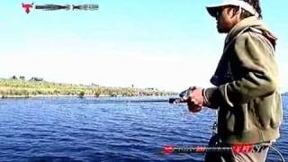 Jackall Bros - Squad Minnow