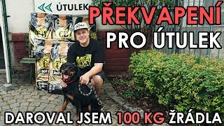 PŘEKVAPENÍ PRO ÚTULEK - DAROVAL JSEM 100 KG ŽRÁDLA - WEEK #109