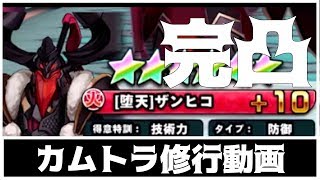 【カムトラ】神羅戦のポイントえぐすぎ!! 完凸ザンヒコで修行!!