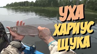 Как ловить щуку / Рецепт ухи / Рыбалка на хариуса