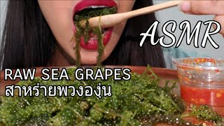 ASMR RAW SEA GRAPES WITH SPICY SEAFOOD SAUCE/ASMR C.K.TAYLOR