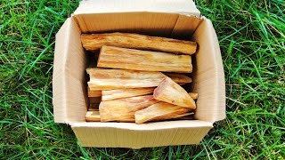 Kienspan (Fatwood) [finden, ernten, verarbeiten]